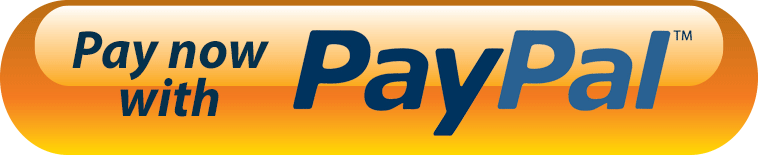 Paypal paynow button
