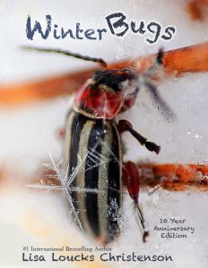 Winterbugs 232x300